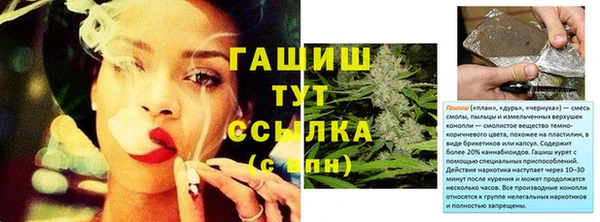 ECSTASY Елизово
