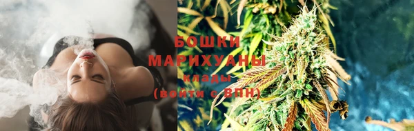 ECSTASY Елизово