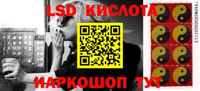 крисы Берёзовский