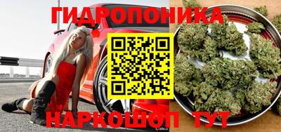 кокс Бийск
