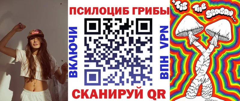 ОМГ ОМГ вход  Димитровград  Галлюциногенные грибы Cubensis  хочу наркоту 
