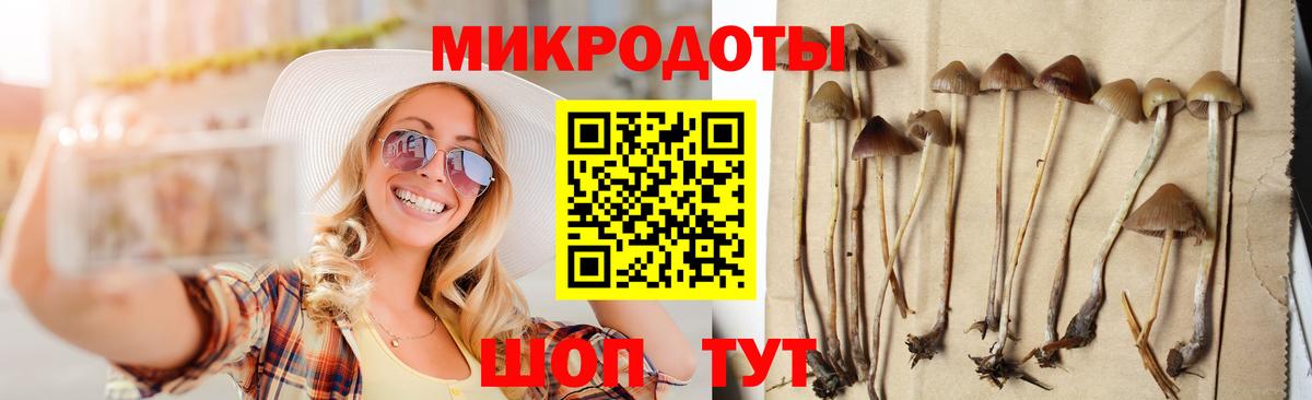 Галлюциногенные грибы Cubensis Димитровград