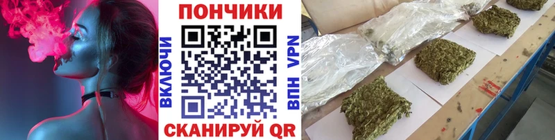 KRAKEN ONION  как найти наркотики  Димитровград  Шишки марихуана гибрид 